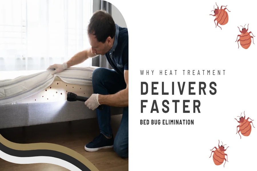 Why Heat Treatment Delivers Faster Bed Bug Elimination