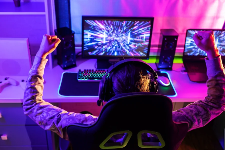 Gamers and PC Enthusiasts